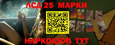 крисы Кулебаки