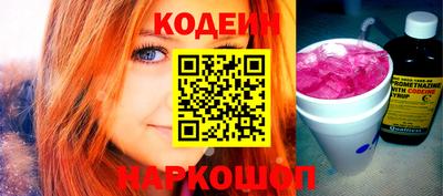 крисы Кулебаки