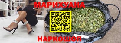 крисы Кулебаки