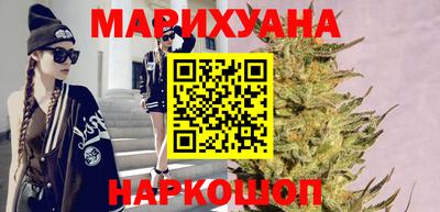 крисы Кулебаки