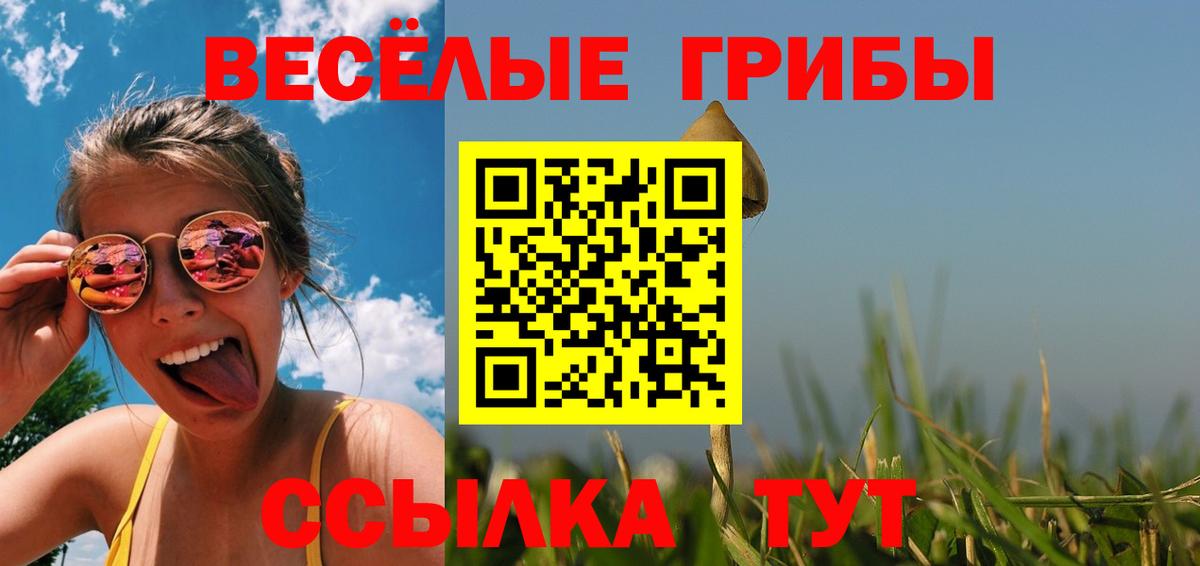 Псилоцибиновые грибы Cubensis Холмск